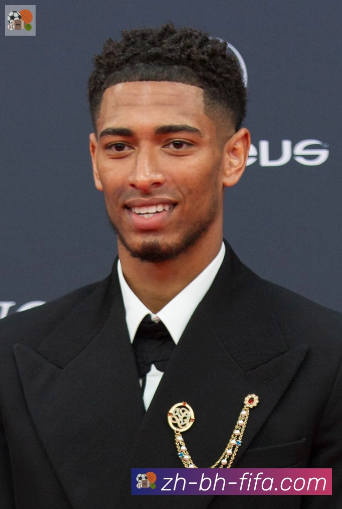 维尼修斯