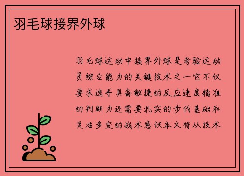 羽毛球接界外球
